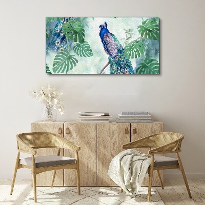 Vászonkép Páva a trópusi dzsungelben