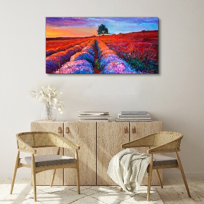 Vászonkép Levendula mezők tája naplementekor