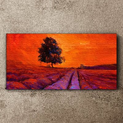 Vászonkép Naplemente a mezők felett