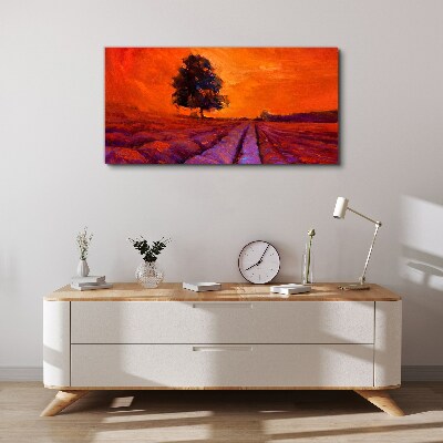 Vászonkép Naplemente a mezők felett