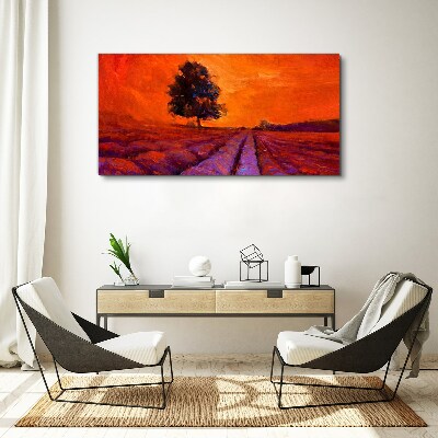 Vászonkép Naplemente a mezők felett