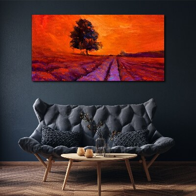 Vászonkép Naplemente a mezők felett