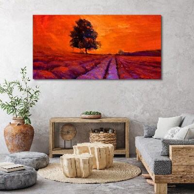 Vászonkép Naplemente a mezők felett