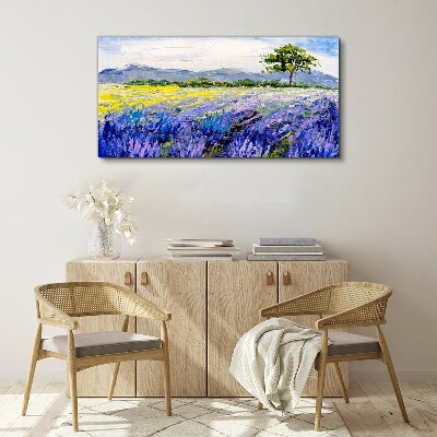 Vászonkép Levendula mezők a nappali fényben