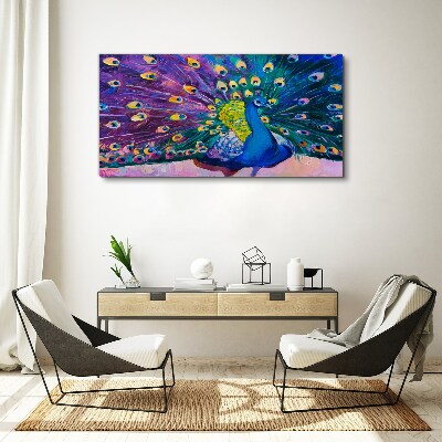 Vászonkép Egy színes páva tavaszi aurában