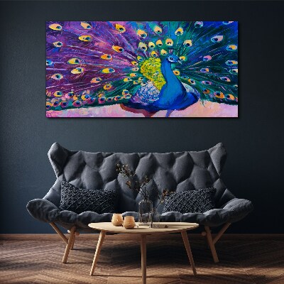 Vászonkép Egy színes páva tavaszi aurában