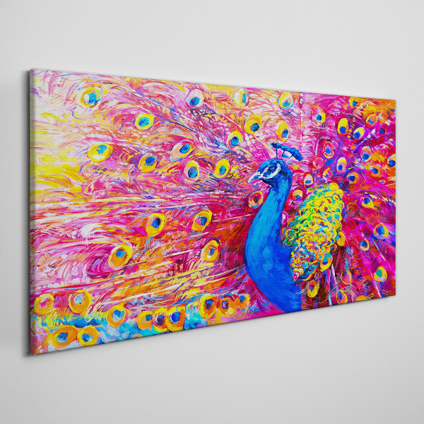 Vászonkép Színes páva tavaszi ragyogásban