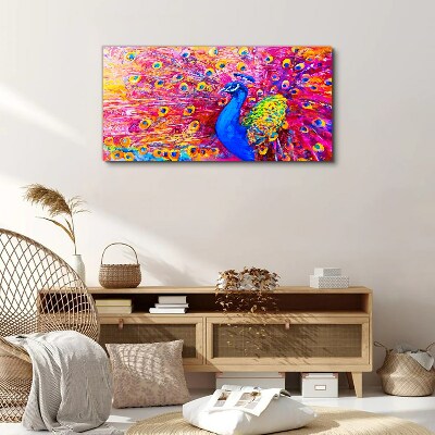 Vászonkép Színes páva tavaszi ragyogásban