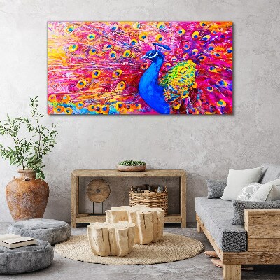 Vászonkép Színes páva tavaszi ragyogásban