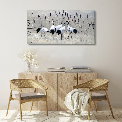 Vászonkép Fehér daruk a nádasban