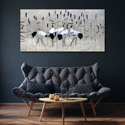 Vászonkép Fehér daruk a nádasban