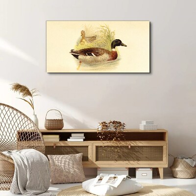 Vászonkép Kacsák a fűben