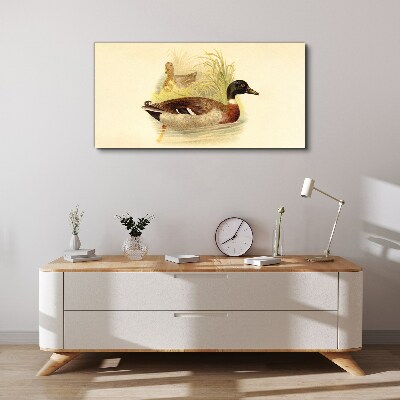 Vászonkép Kacsák a fűben