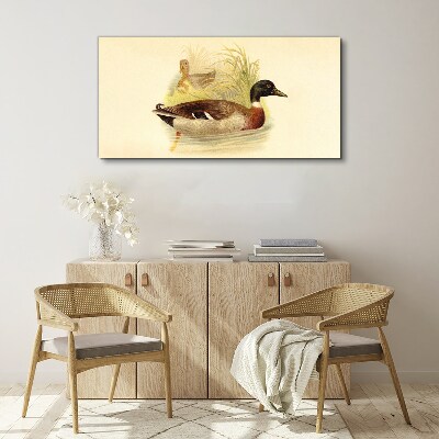 Vászonkép Kacsák a fűben