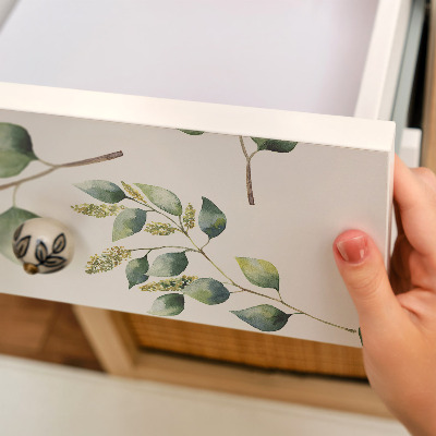 Bútorfólia Botanikai levelek