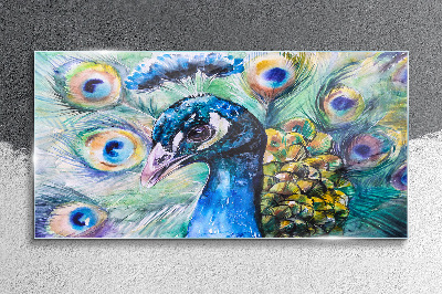 Üvegkép Festés állati madár páva