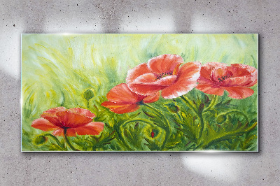 Üvegkép Poppy magvak virágai