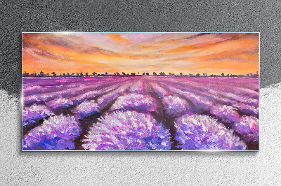 Üvegkép Lavender Field Sunset