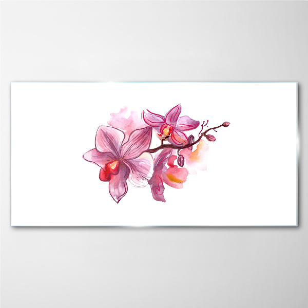 Üvegkép Rózsaszín orchideák fehér alapon