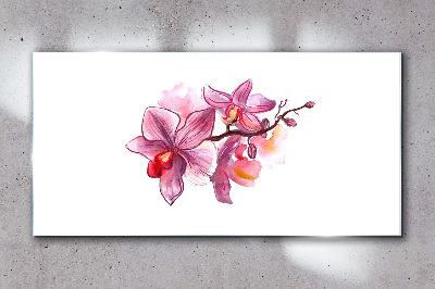 Üvegkép Rózsaszín orchideák fehér alapon