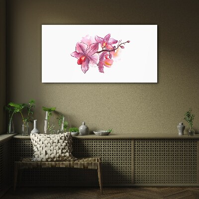 Üvegkép Rózsaszín orchideák fehér alapon