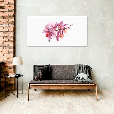 Üvegkép Rózsaszín orchideák fehér alapon