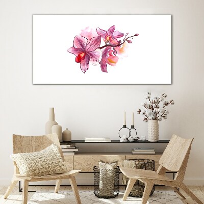 Üvegkép Rózsaszín orchideák fehér alapon