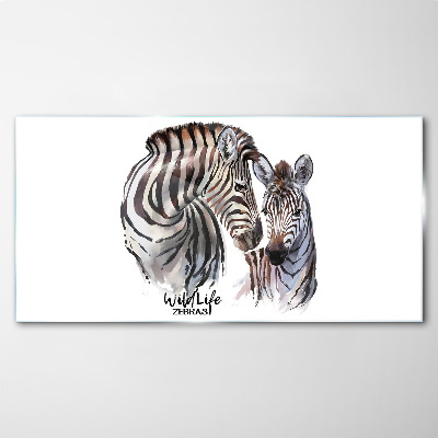 Üvegkép Zebra a vadonban
