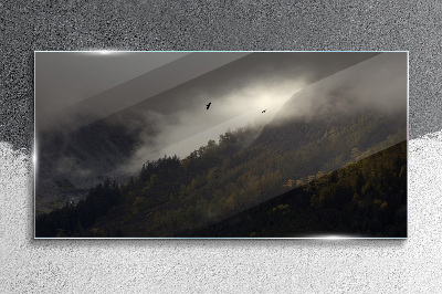 Üvegkép Ködös hegyi panoráma madarakkal