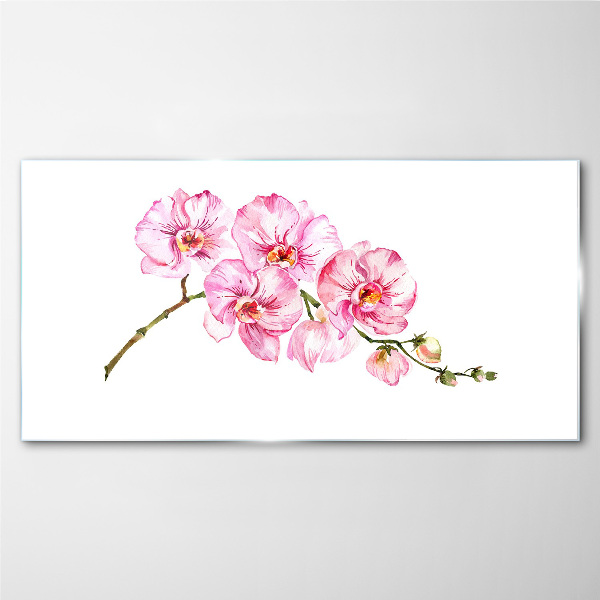Üvegkép Rózsaszín orchideák fehér alapon