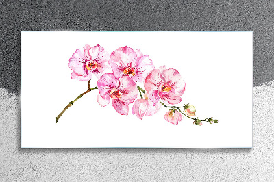 Üvegkép Rózsaszín orchideák fehér alapon