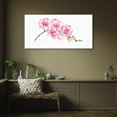 Üvegkép Rózsaszín orchideák fehér alapon