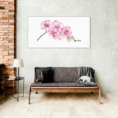 Üvegkép Rózsaszín orchideák fehér alapon