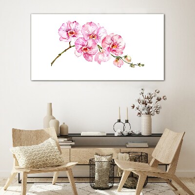 Üvegkép Rózsaszín orchideák fehér alapon