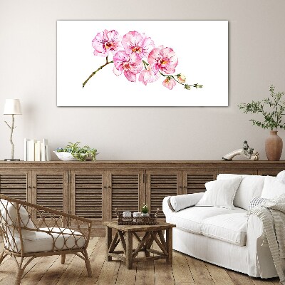 Üvegkép Rózsaszín orchideák fehér alapon