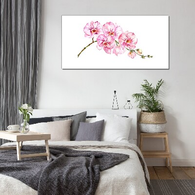 Üvegkép Rózsaszín orchideák fehér alapon