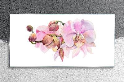 Üvegkép Orchidea pasztell árnyalatokban