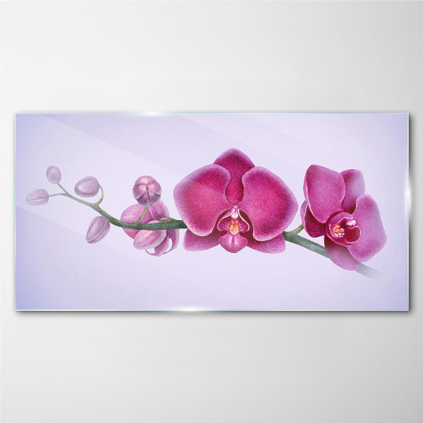 Üvegkép Orchideák a rózsaszín finom árnyalataiban