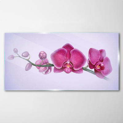 Üvegkép Orchideák a rózsaszín finom árnyalataiban
