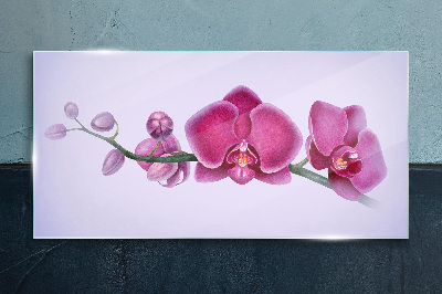 Üvegkép Orchideák a rózsaszín finom árnyalataiban