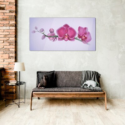 Üvegkép Orchideák a rózsaszín finom árnyalataiban