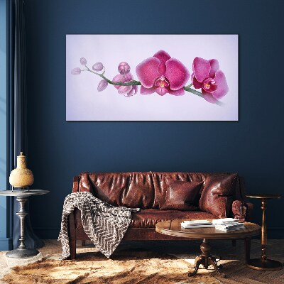 Üvegkép Orchideák a rózsaszín finom árnyalataiban