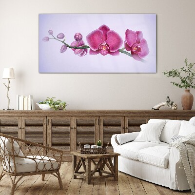 Üvegkép Orchideák a rózsaszín finom árnyalataiban