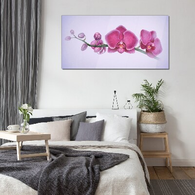Üvegkép Orchideák a rózsaszín finom árnyalataiban
