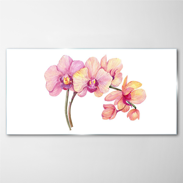 Üvegkép Az orchideák virágos szépsége