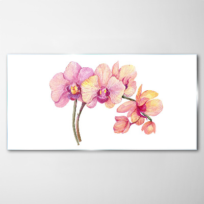 Üvegkép Az orchideák virágos szépsége