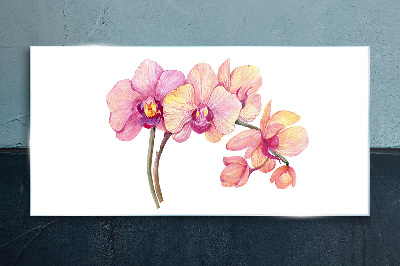 Üvegkép Az orchideák virágos szépsége