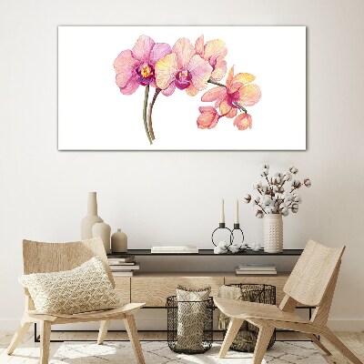 Üvegkép Az orchideák virágos szépsége