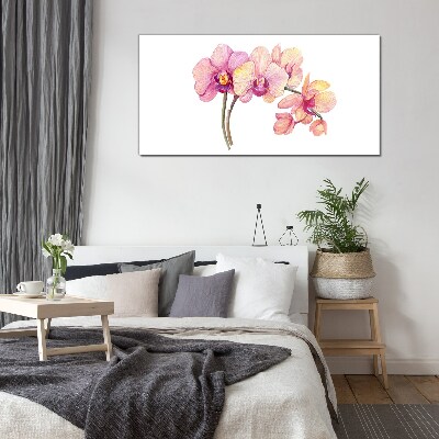 Üvegkép Az orchideák virágos szépsége