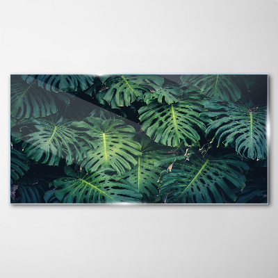 Üvegkép Trópusi zöld a Monstera levelekben